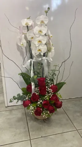 Güller Ve Orkide